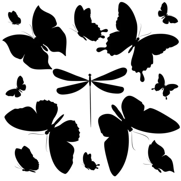 Diseño de mariposas — Vector de stock