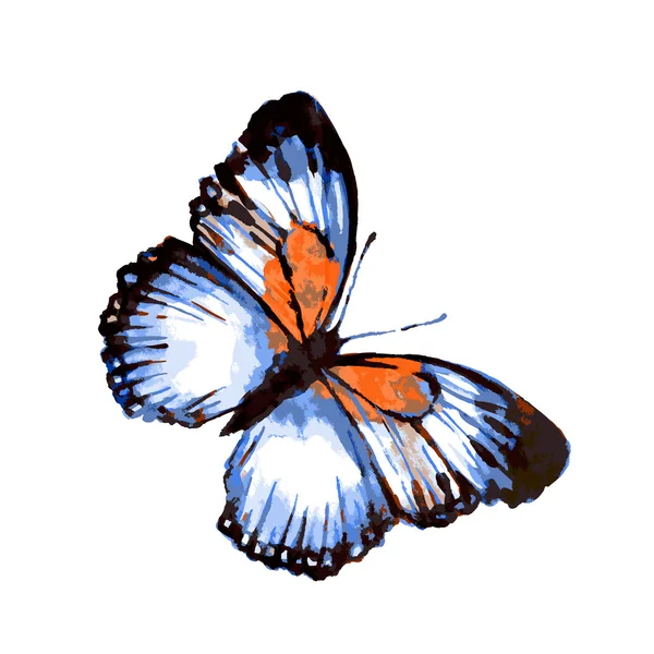 Butterfly252 — Vettoriale Stock
