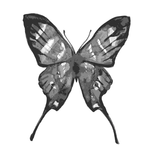 Projekt motyle — Wektor stockowy