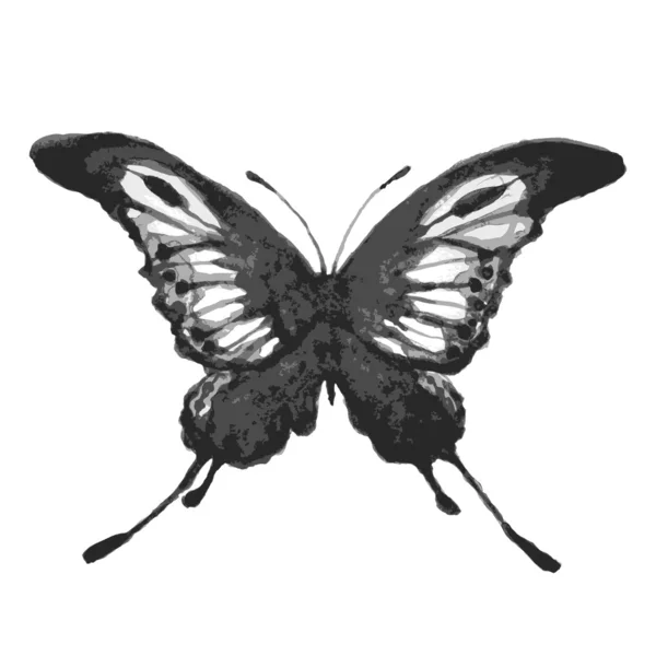 Diseño de mariposas — Archivo Imágenes Vectoriales