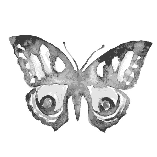 Diseño de mariposas — Vector de stock