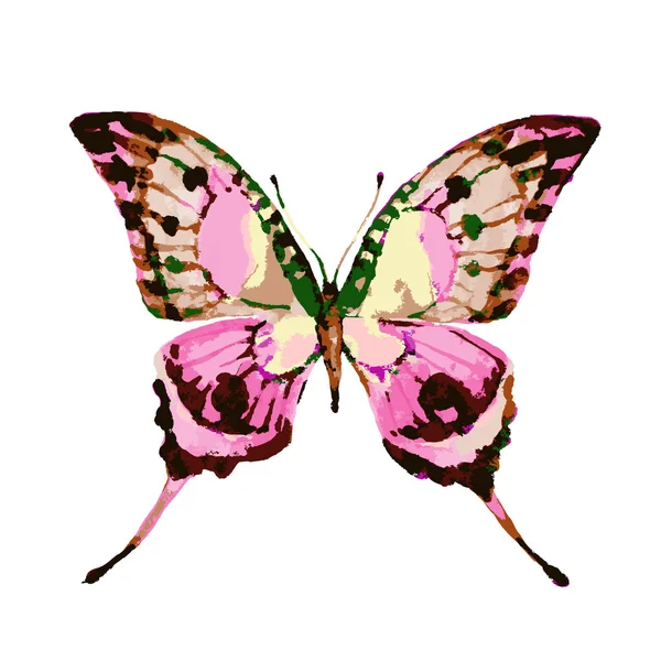 Fjärilar design — Stock vektor
