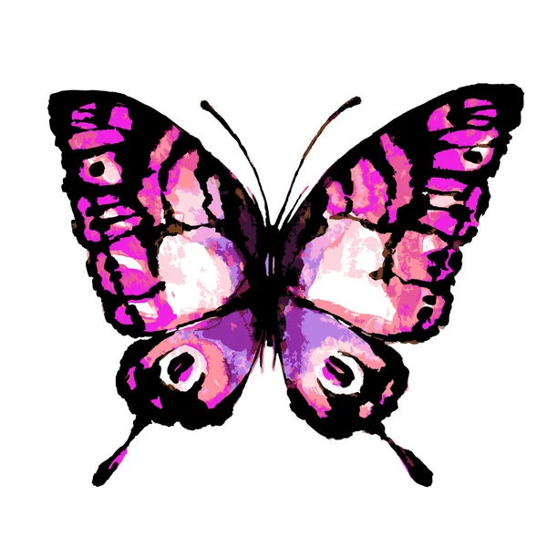 Papillon aquarelle — Image vectorielle