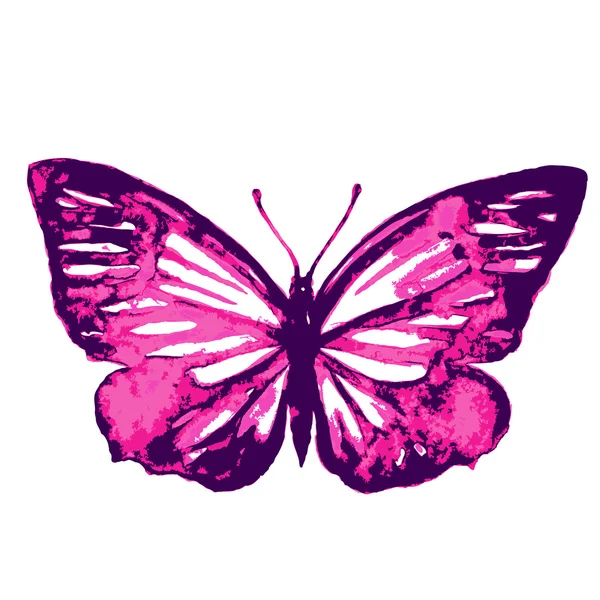 Akvarell pillangó — Stock Vector