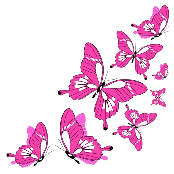 Diseño de mariposas — Vector de stock