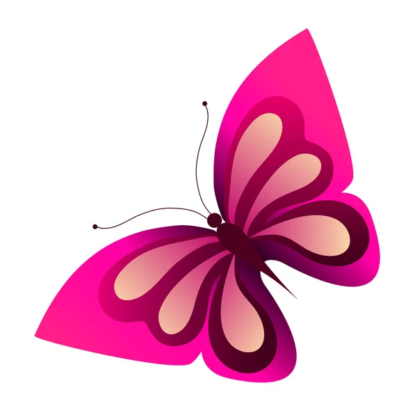 Butterfly design — Stock Vector