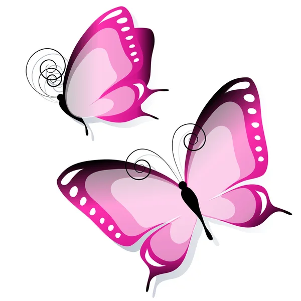 Diseño de mariposas — Vector de stock