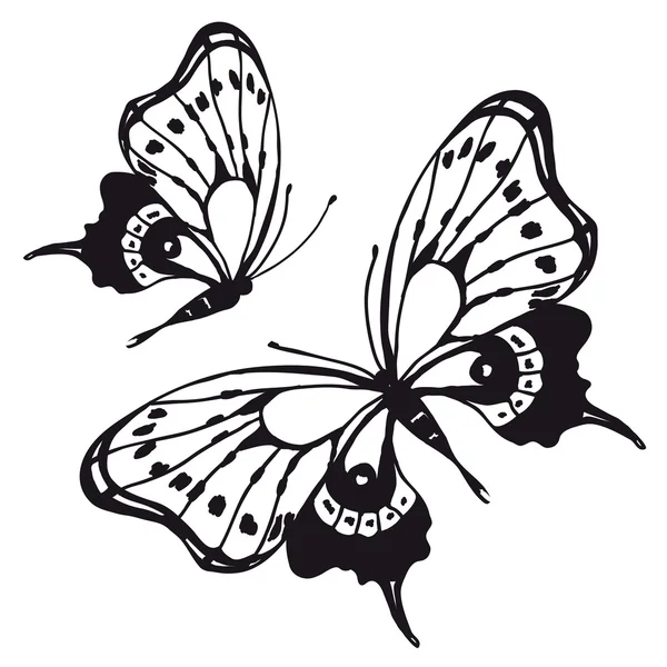 Diseño de mariposas — Archivo Imágenes Vectoriales