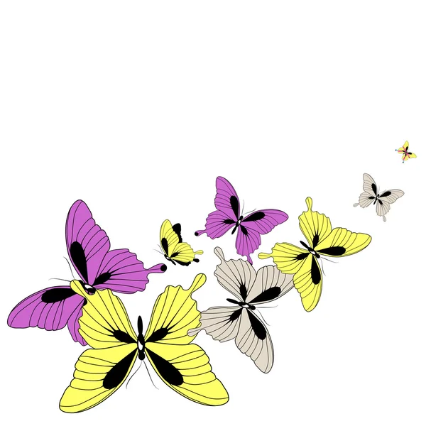 Conception papillons — Image vectorielle