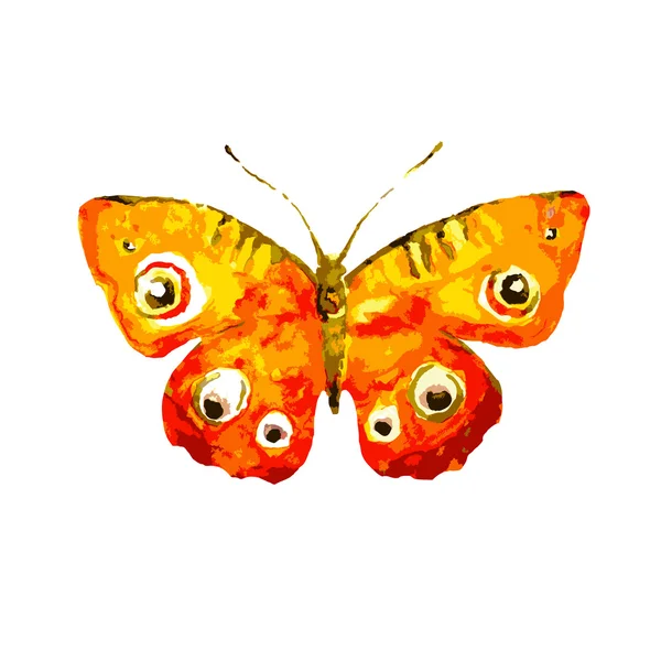 Schmetterling338 — Stockvektor