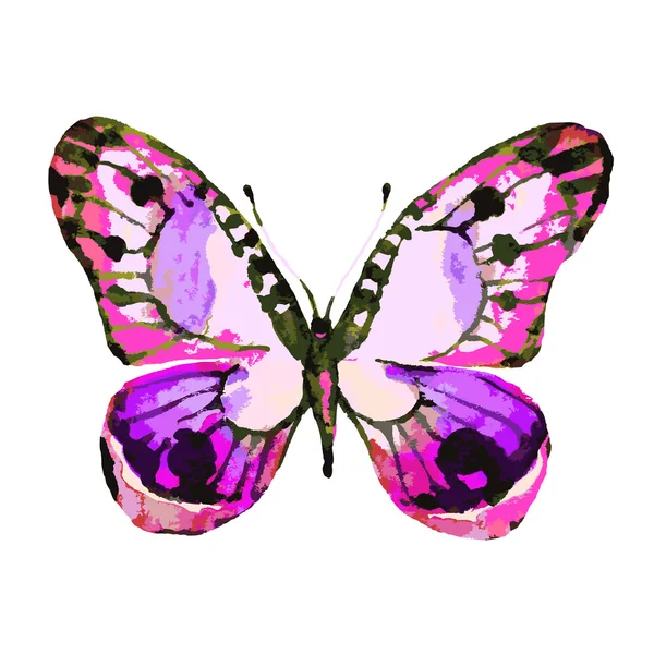 Butterflies design — Stock Vector