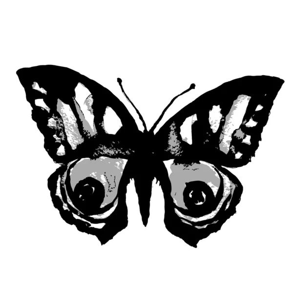 Butterfly design — Stock vektor