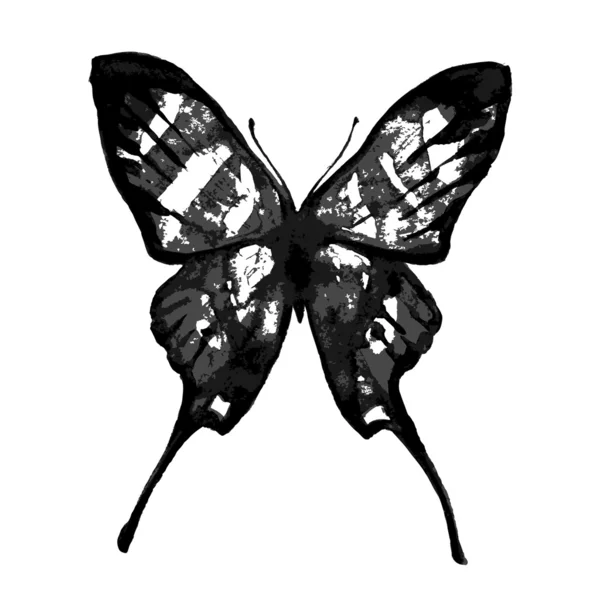 Diseño de mariposa — Vector de stock