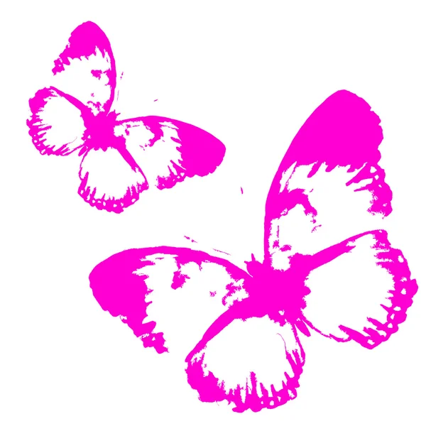 蝴蝶设计 — 图库矢量图片
