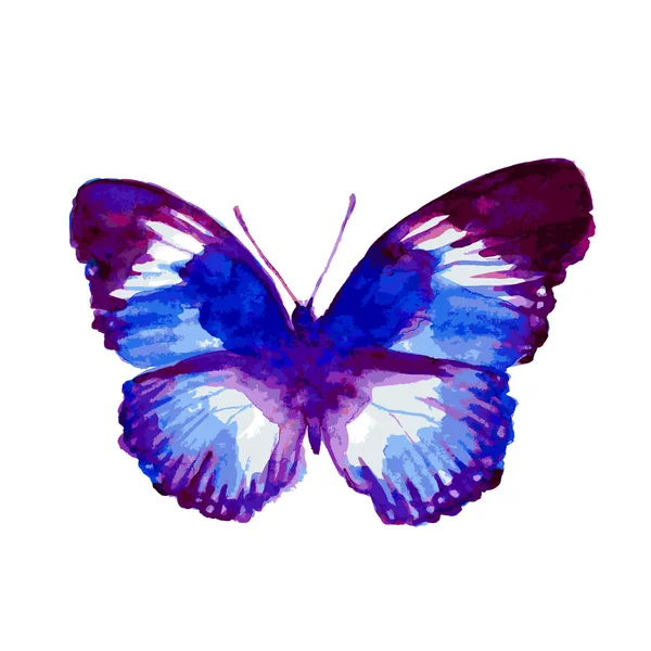 Butterfly422 — Image vectorielle