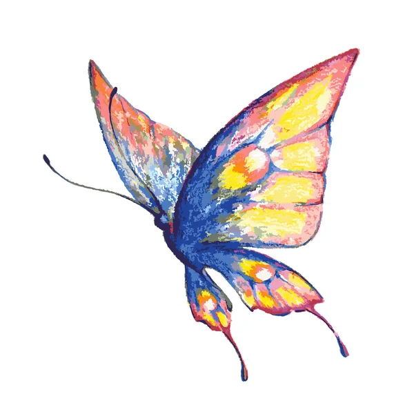 Butterfly423 — Wektor stockowy