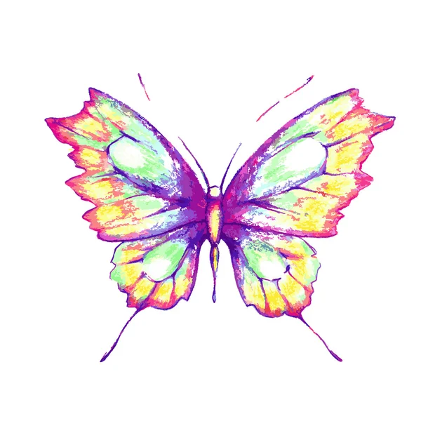 Butterfly424 — 스톡 벡터
