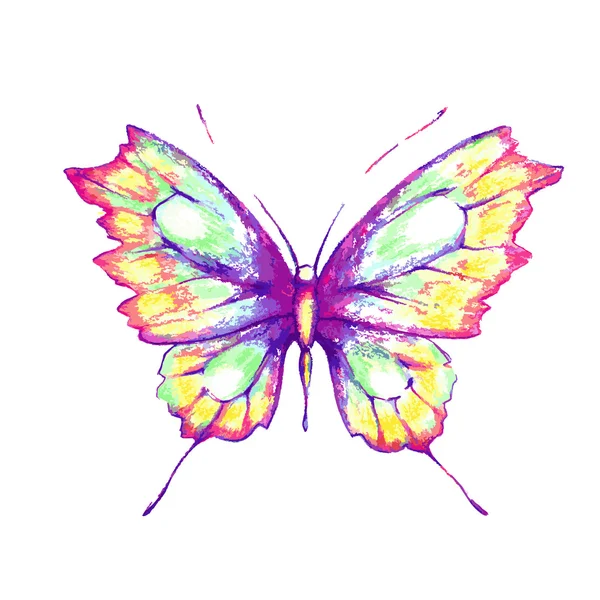 Butterfly424 — Wektor stockowy