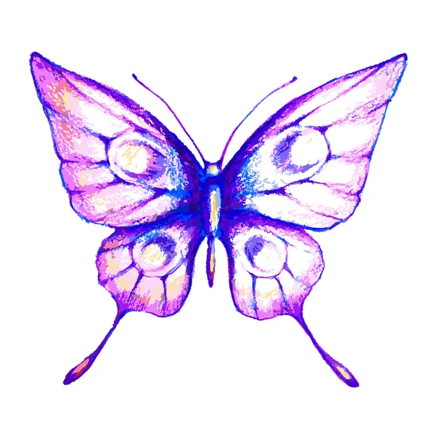 Schmetterling425 — Stockvektor