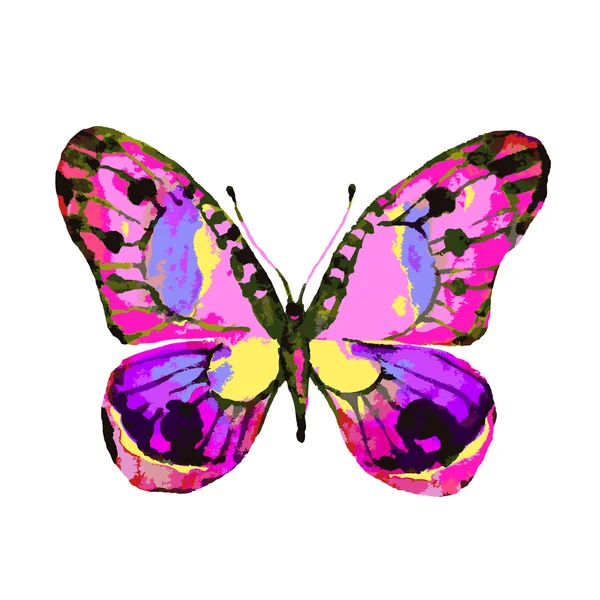 Fjärilar design — Stockfoto