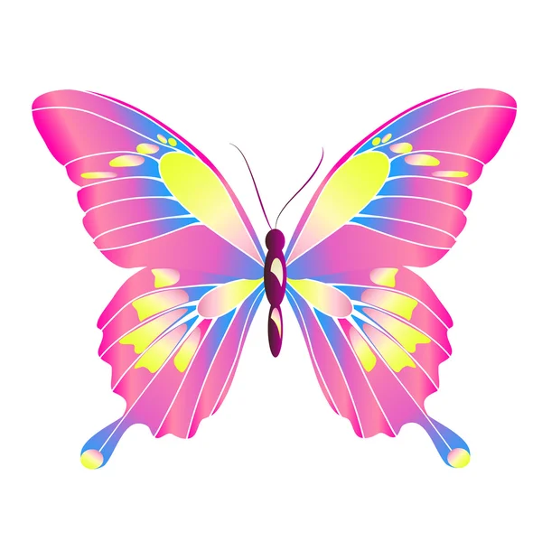Diseño de mariposas — Foto de Stock