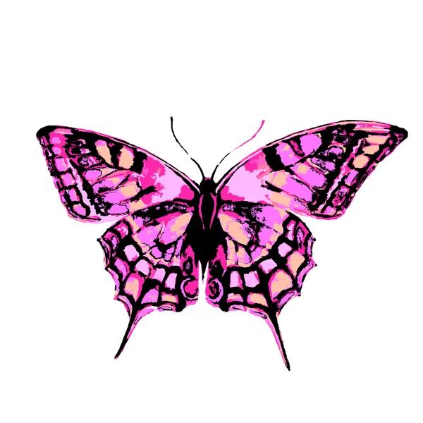 Butterfly454 — Image vectorielle