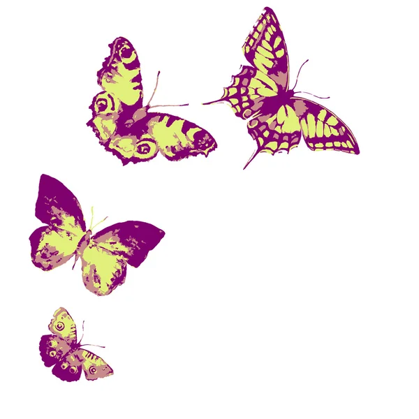 Diseño de mariposas — Archivo Imágenes Vectoriales