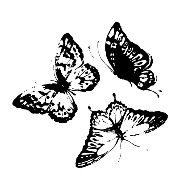 Diseño de mariposas — Vector de stock