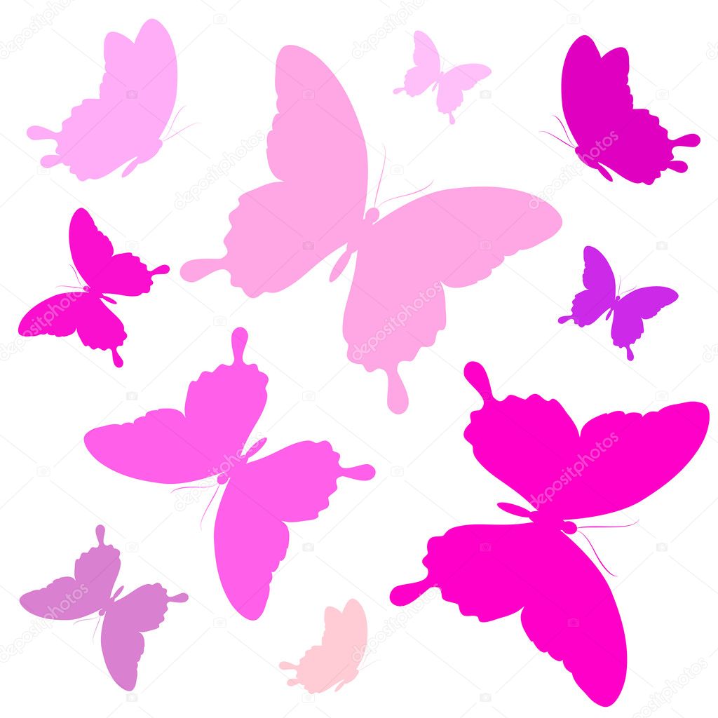 Set butterflies on white background