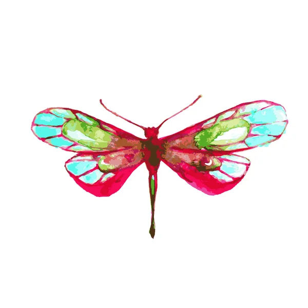 Amazing watercolor butterfly — Stock Vector