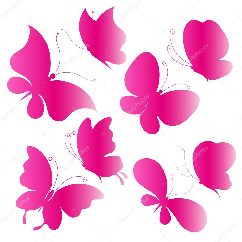 Set butterflies on white background