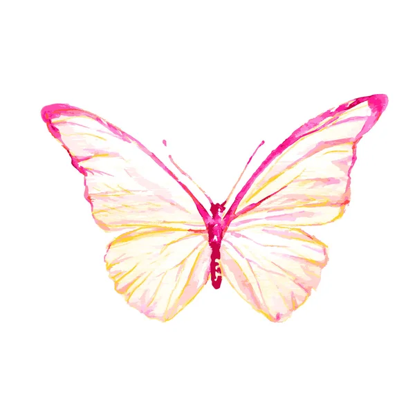Bela borboleta rosa — Vetor de Stock
