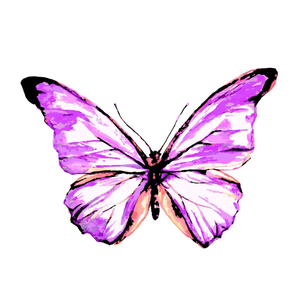 Prachtige roze vlinder — Stockvector