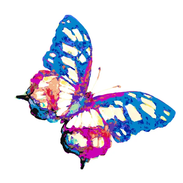 Schmetterlingsdesign — Stockfoto