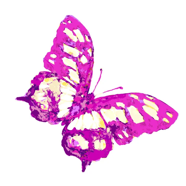 蝴蝶设计 — 图库照片