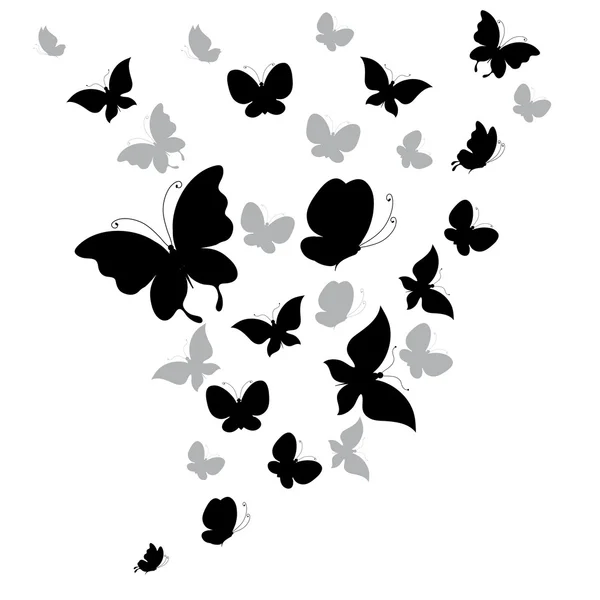 Diseño de mariposas — Vector de stock