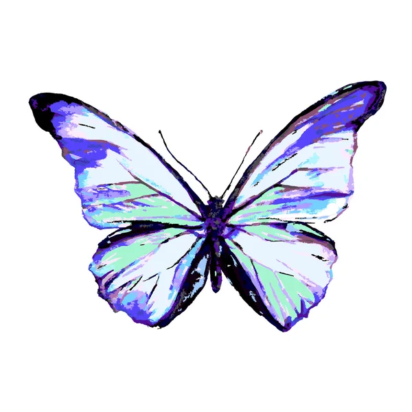 Σχεδιασμός πεταλούδες — Φωτογραφία Αρχείου