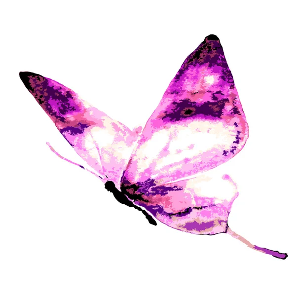 Conception papillons — Image vectorielle