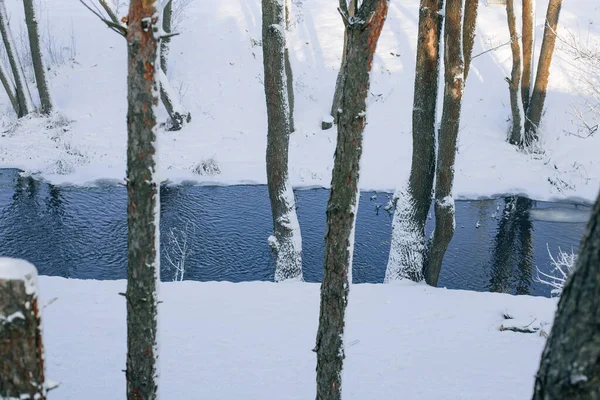 Árvores Cobertas Neve Rio Azul — Fotografia de Stock