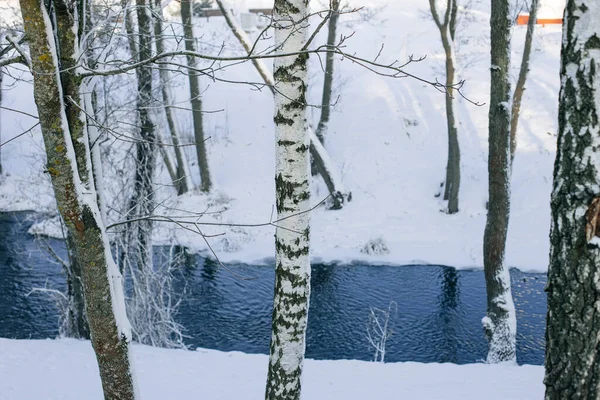 Árvores Cobertas Neve Rio Azul — Fotografia de Stock