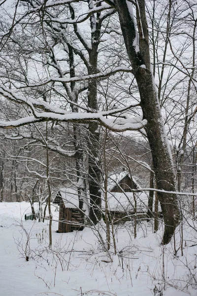 Paisagem de inverno. madeira pequena casa na aldeia de neve — Fotografia de Stock