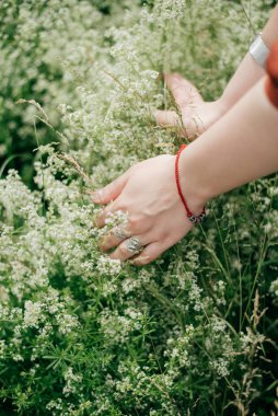 Bir tarlada beyaz çiçek toplayan kadını kapat.