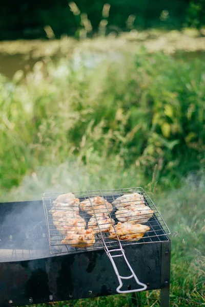 Grilled chicken on a wire rack top view, chicken skewers — Stock Photo, Image