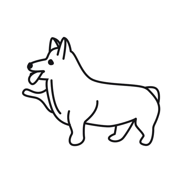 Söt Corgi Isolerad Vektor Illustration Dog Doodle Konturikon — Stock vektor