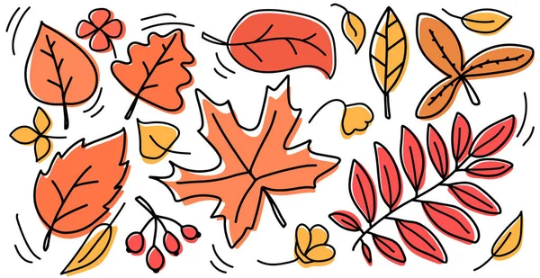 Autumn Yellow Orange Leaves Set Isolated White Background Vector Illustration — Stock Vector