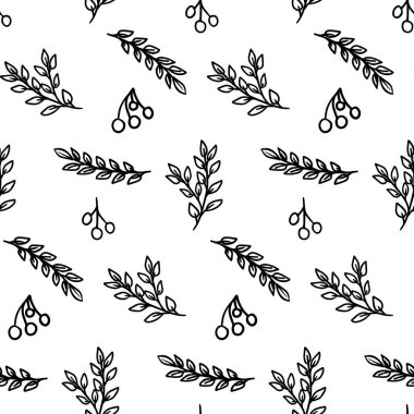 Dalları ve böğürtlenleri olan dikişsiz bitkiler. Beyaz arkaplan vektör illüstrasyonunda izole edilmiş. Bitmek bilmeyen çiçek arkaplanı