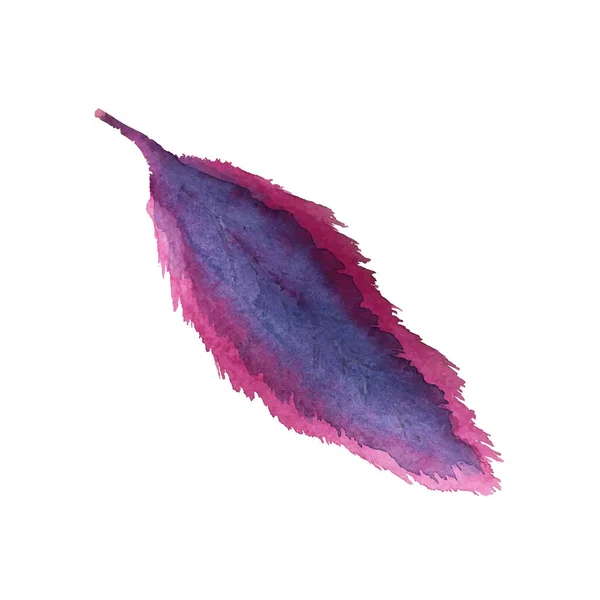 水彩羽の要素 白い背景ベクトルのイラストに分離 — ストックベクタ