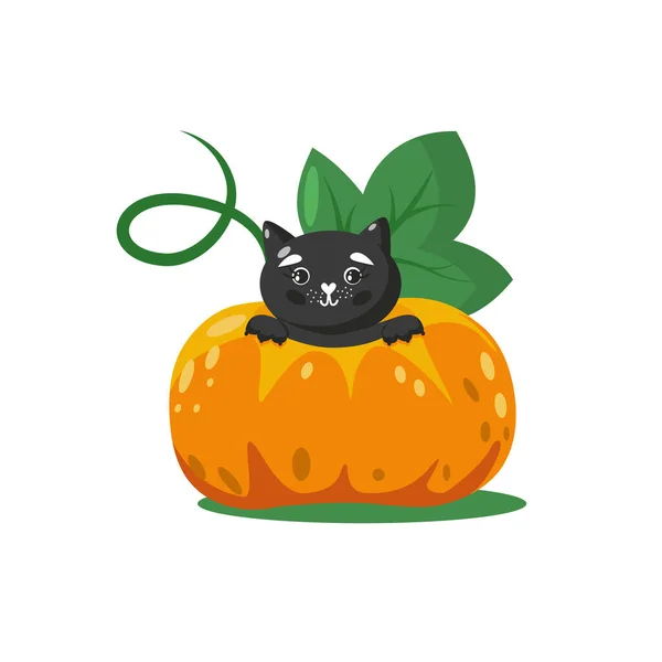 Carino Halloween Gatto Nero All Interno Grande Zucca Illustrazione Vettoriale — Vettoriale Stock