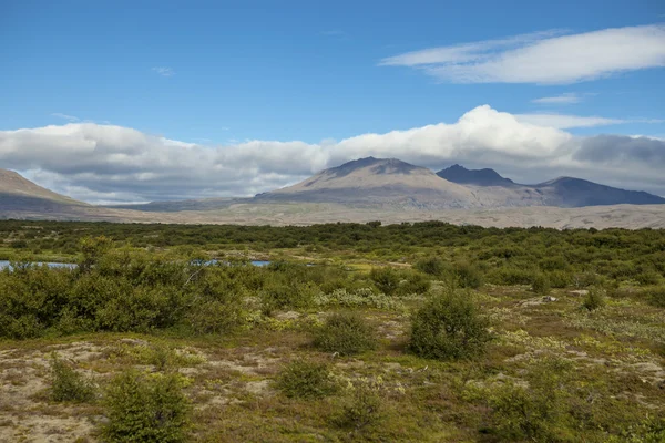 Islandic landschap 10 Rechtenvrije Stockfoto's