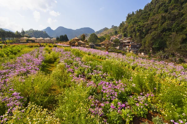 Beautiful garden scene in Chiang Mai, Thailand